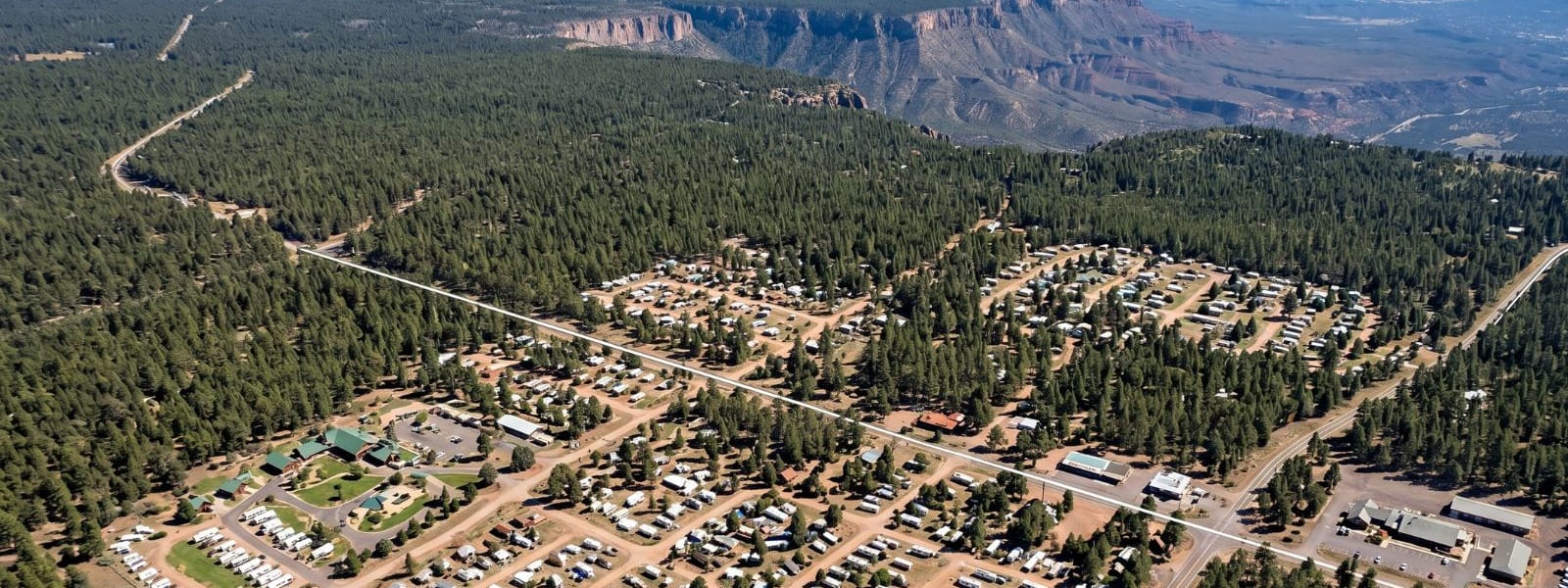 Happy Jack, Arizona pine forest community